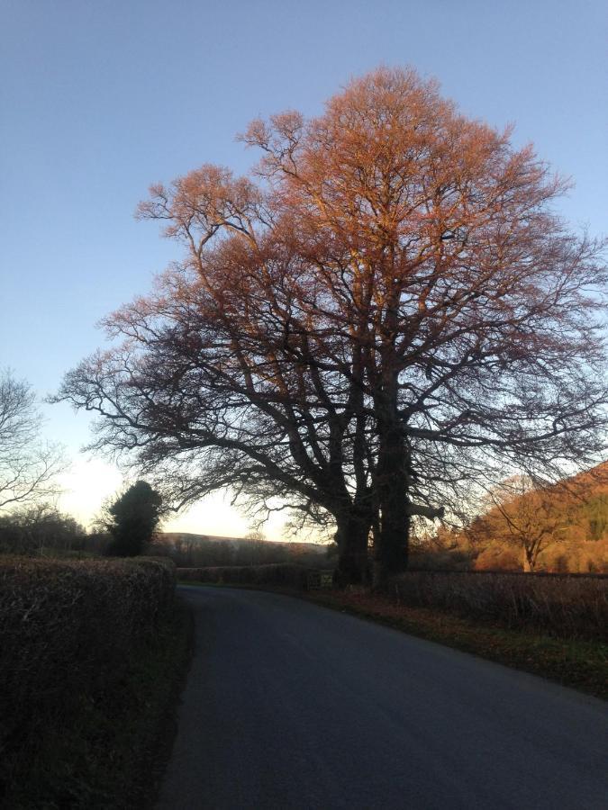 Henllys Estate B And B Llandovery Buitenkant foto